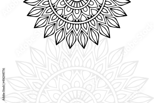 Fototapeta Naklejka Na Ścianę i Meble -  Ethnic floral mandalas, doodle background circles