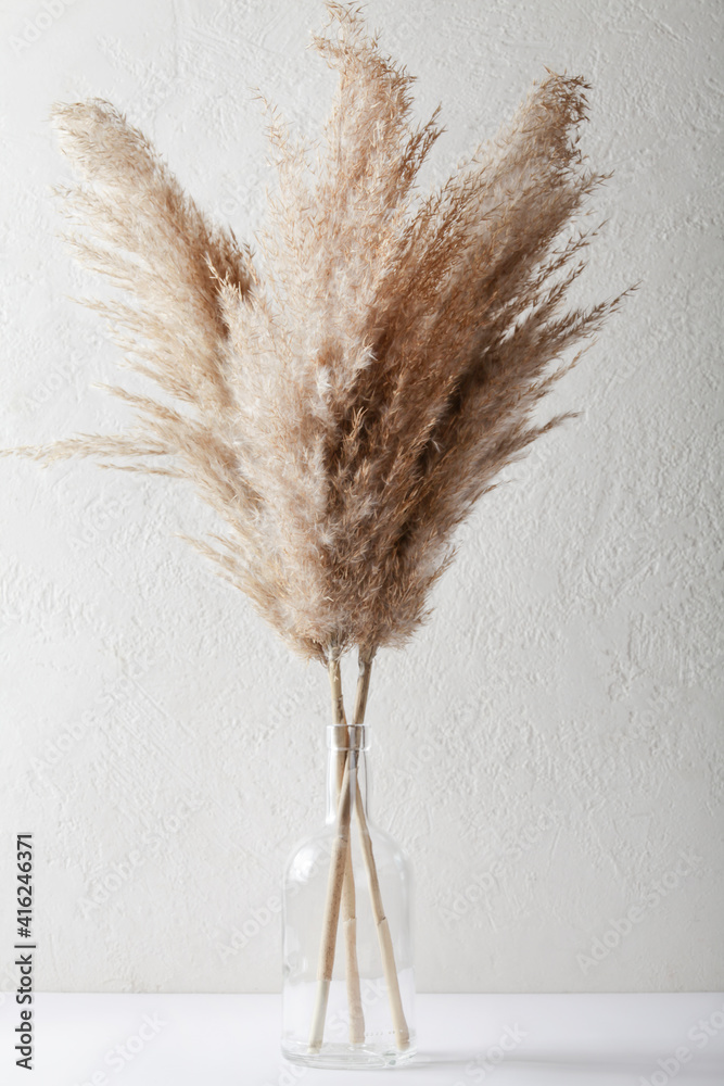 Plakat Pampas grass in vase on white background. natural background. minimal, stylish concept. new trendy home decor.