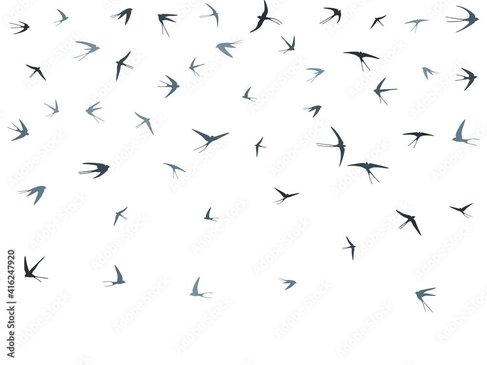 Flying swallow birds silhouettes vector illustration. Nomadic martlets school isolated on white.