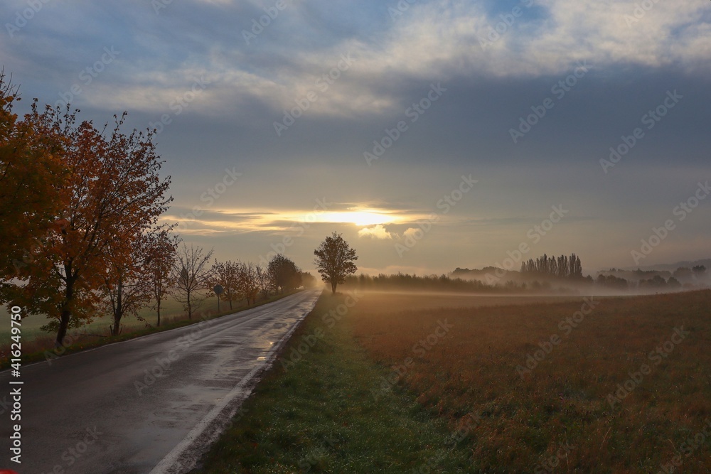 road in the morning