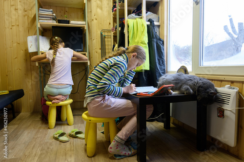 Two girls are doing homework at the computer table and the table on which the cat sleeps by the window in a small room of a country house