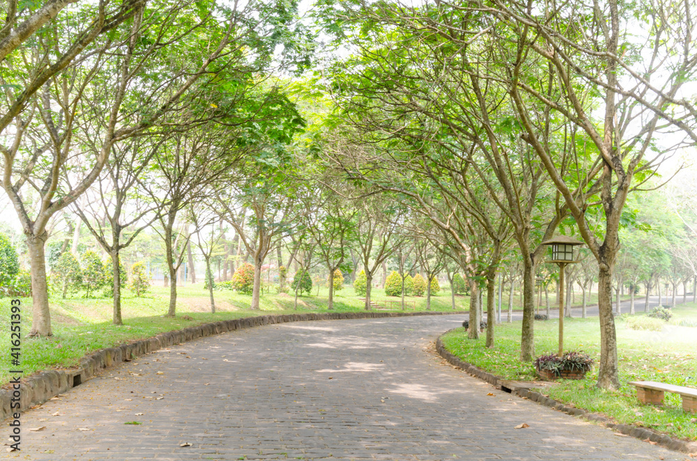 Fototapeta premium Landscape photo: a trail going down Giang Dien waterfall (Vietnam)
