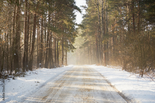 Fototapeta Naklejka Na Ścianę i Meble -  leśna zimowa ścieżka