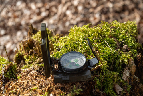 Compass in the forest on a stump in the sunlight