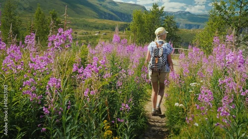 An active woman walks through a beautiful valley among flowering flowers against the backdrop of mountains and sky. Spring in Norway, a trip to Scandinavia