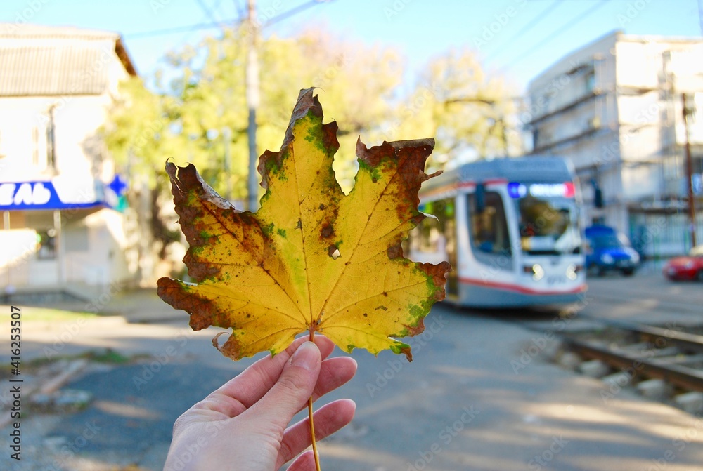 Obraz premium autumn sheet with sunny light tram street cityscape