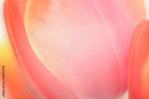 Blurred flower background