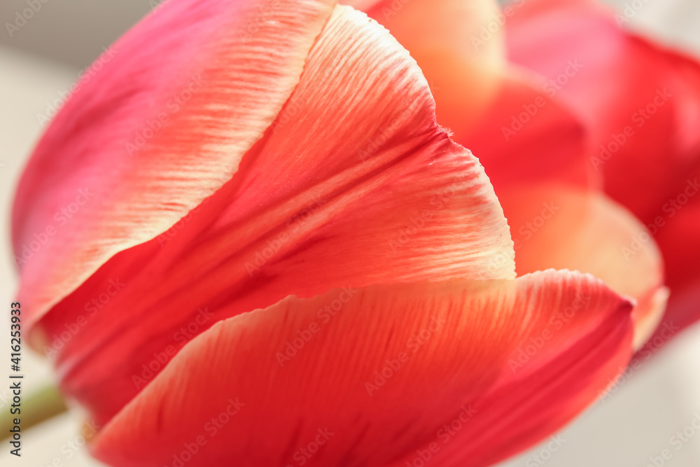 Blurred flower background Blurred flower background