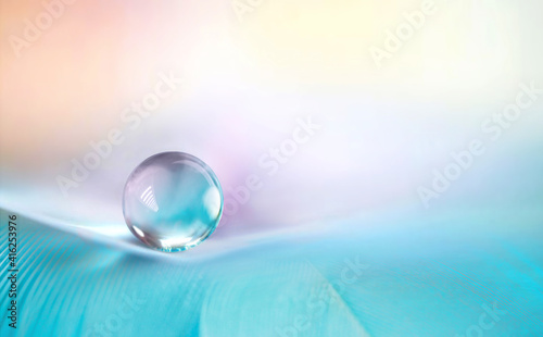 Beautiful clean transparent bright drop of water on feather in light blue and purple colors, macro. Tender image of beauty of environment and nature.