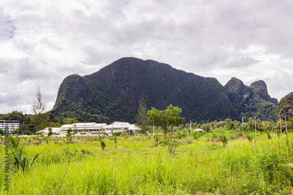 Obraz premium Elephant-shaped mountain with green grass hill at Phang-Nga Province, the south of Thailand. It refers to the name of this town.