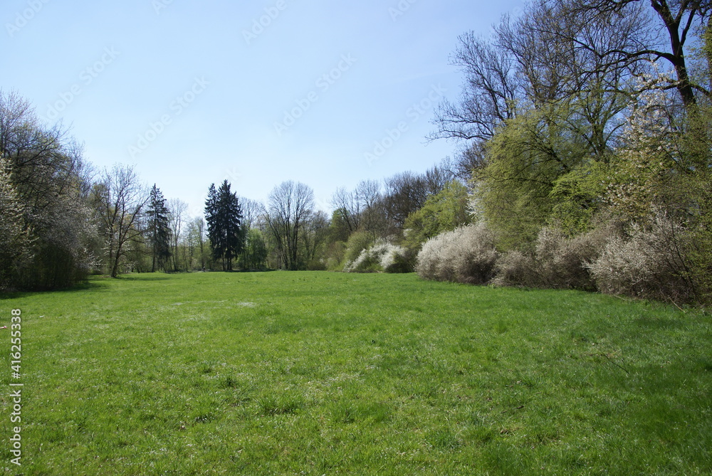 Blühende Parklandschaft in weiß und grün 416255338