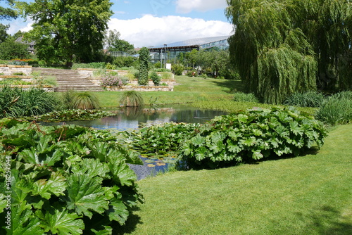 Teich und Gewächshaus im Botanischen Garten Rostock