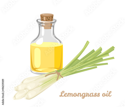 Lemongrass essential oil in glass bottle and bunch of aromatic herbs isolated on white. Vector illustration in cartoon flat style.