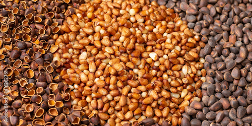Background from Siberian pine nuts. A circle of peeled kernels.