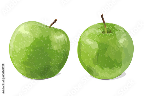 Two green apples isolated on white background. Vector illustration