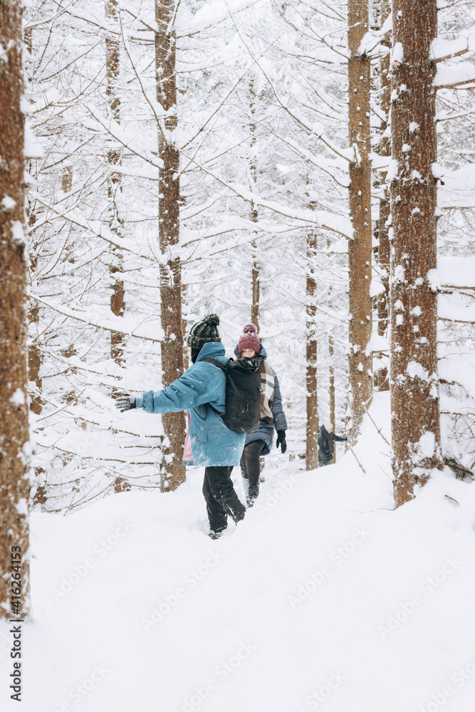 A group of friends during a winter hiking trip. Active family holidays during the Christmas holidays.The winter lifestyle.Individual winter adventures.local travel