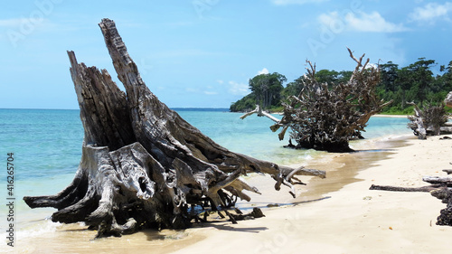 Driftwood on a tropical beach with blue sky and turquoise water in Port Blair, Andaman and Nicobar Islands, India.