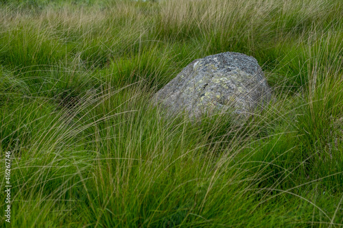 stone in the grass