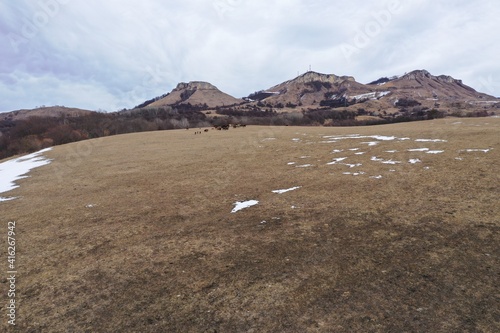 Aerial view of herd of cows grazing in the meadow at the foot of the Shahan mountain, cloudy weather, winter, snow, Andryuki, Psebay, Krasnodar krai, Russia. photo