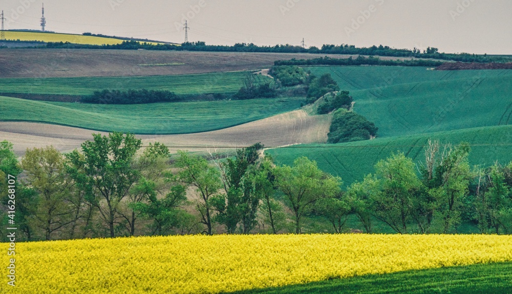 wiosenny krajobraz wzgórz w południowych Morawach, pora kwitnienia rzepaku, pochmurna wiosenna pogoda