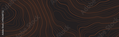 The stylized height of the topographic contour map in lines and contours. The concept of a conditional geography scheme and the terrain path. Vector illustration.