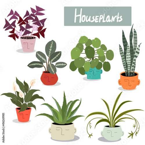 Collection of decorative houseplants in pots isolated on white background. Flat vector illustration.