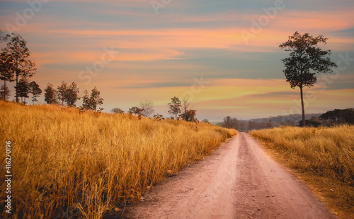 The evening sky with a road surrounded by dry grass.