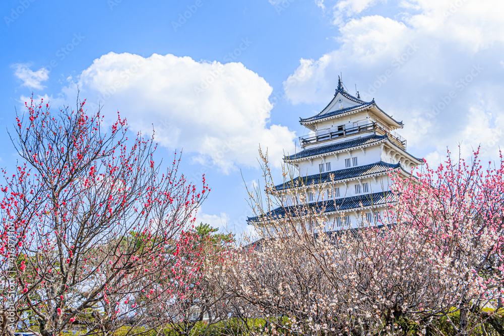 梅の花と島原城 長崎県島原市 Plum blossom and Shimabara castle Nagasaki-ken Shimabara city 梅の花と島原城 長崎県島原市 Plum blossom and Shimabara castle Nagasaki-ken Shimabara city