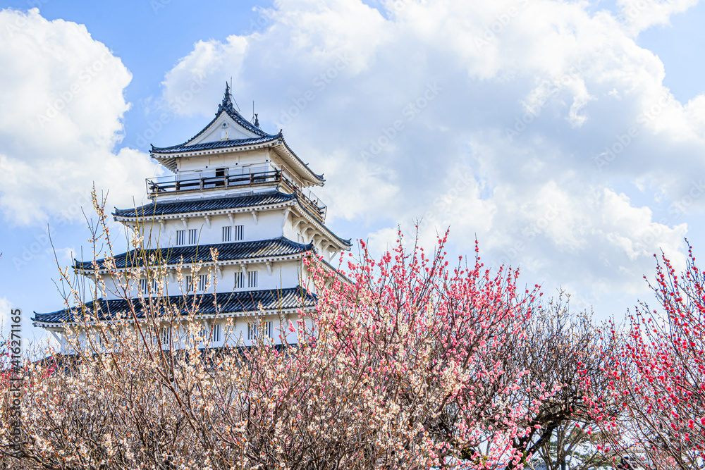 梅の花と島原城 長崎県島原市 Plum blossom and Shimabara castle Nagasaki-ken Shimabara city 梅の花と島原城 長崎県島原市 Plum blossom and Shimabara castle Nagasaki-ken Shimabara city