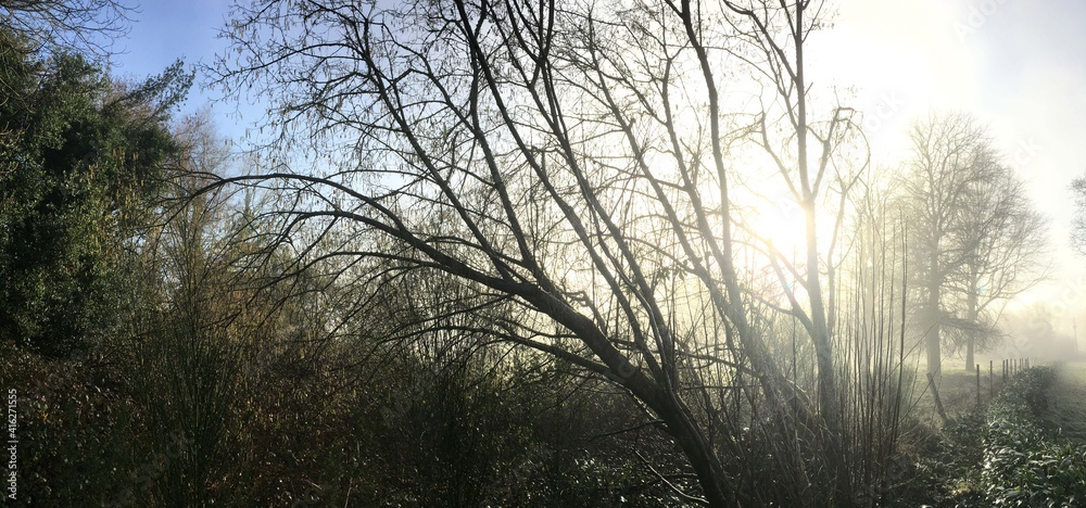 Panorama d'un matin brumeux ensoleillé en hiver à Barré Briec en Bretagne Finistère Cornouailles France