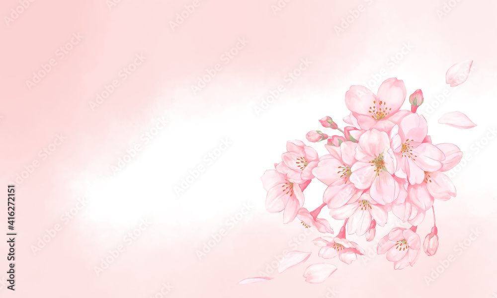 桜と桜の花びら3