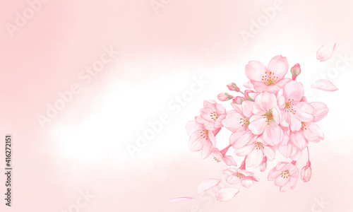 桜と桜の花びら3