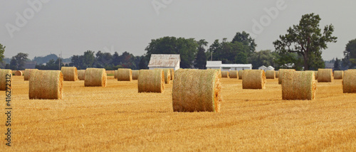 Freshly harvested and rolled hay bales provide a beautiful counrty landscape in rural Ohio. photo