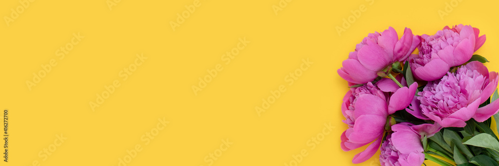 Banner with bouquet of peony flowers on a yellow background. Floral composition with copyspace.