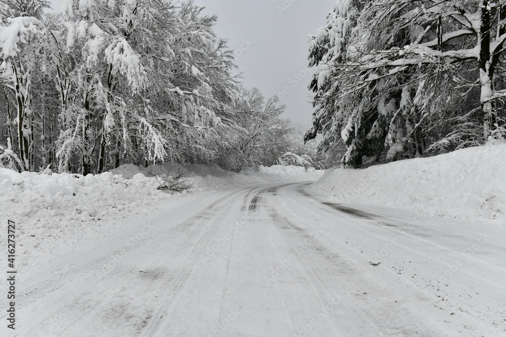 Snowy road with tree branches of the forest filled with fresh snow after a heavy snowfall Snowy road with tree branches of the forest filled with fresh snow after a heavy snowfall