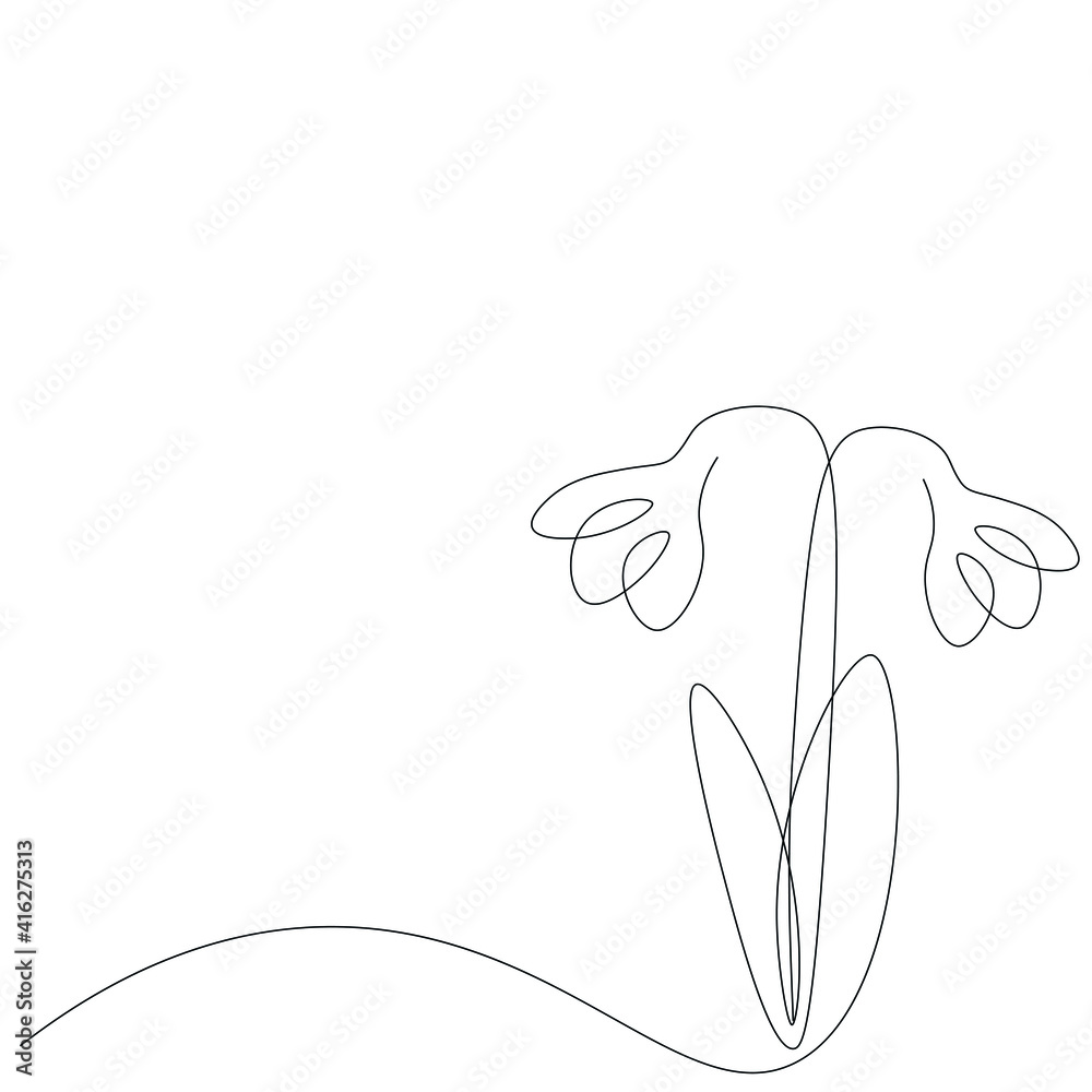 Snowdrop flowers background, vector illustration Snowdrop flowers background, vector illustration