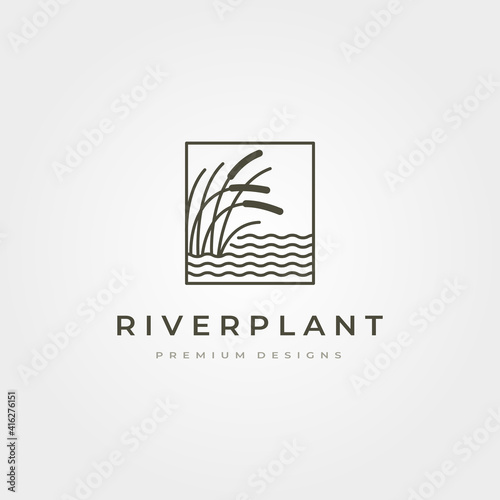 river plant cattail icon logo vector symbol illustration design, nature plant in square logo design
