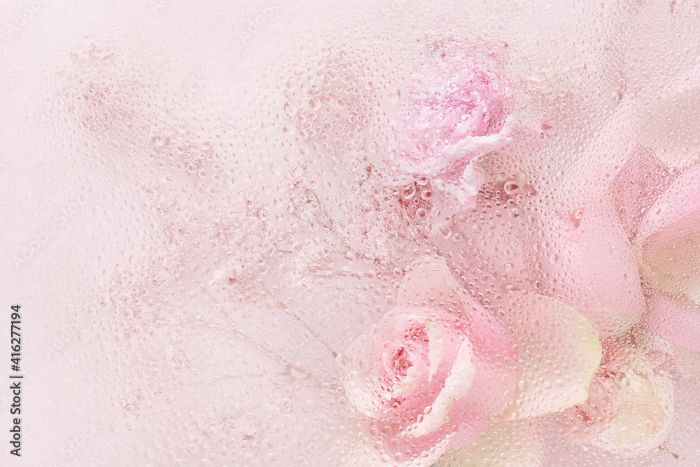 beautiful pink rose flowers through the glass with waterdrops