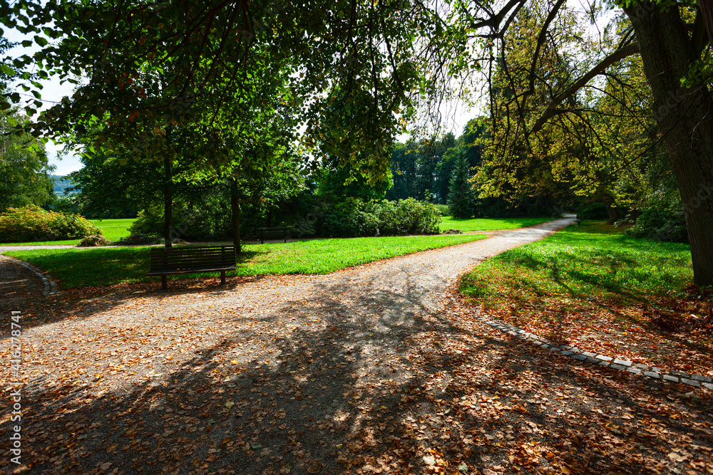 Obraz premium Colorful foliage in the autumn park