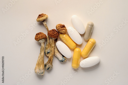 Dry psilocybin mushrooms on white background. Psychedelic mushrooms and pills from depression. Medical use, microdosing.