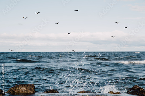 Seascape with flying seagulls at peaceful day