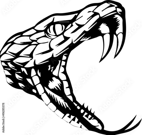 Anaconda snake vector illustration art for tattoo, logo, label, sign, poster, t-shirt.