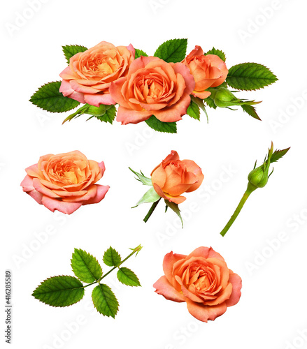 Orange rose flowers in a fl...