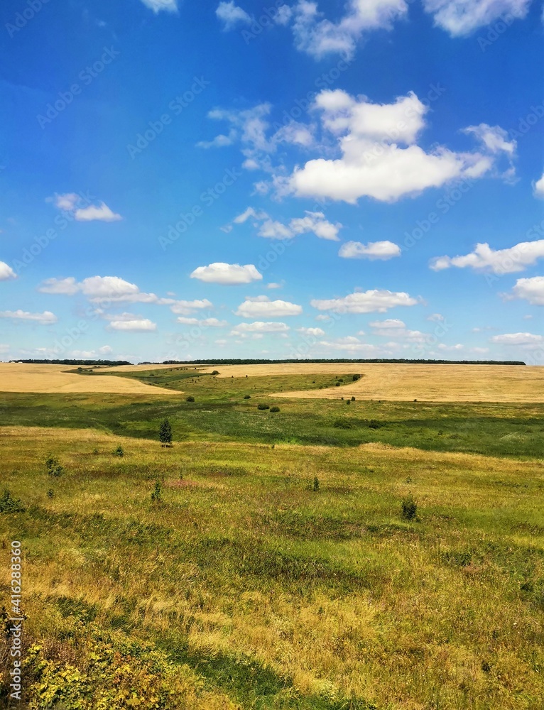 Fototapeta premium Yellow field, hills and blue sky