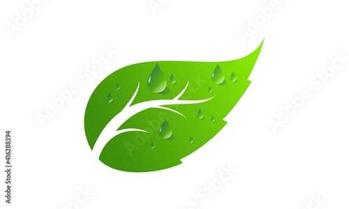 Water drop on the green leaf vector design