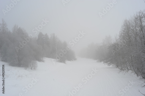Snow covered trees in the fog © Mikko