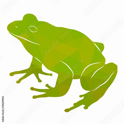 illustration of a frog , vector drawing