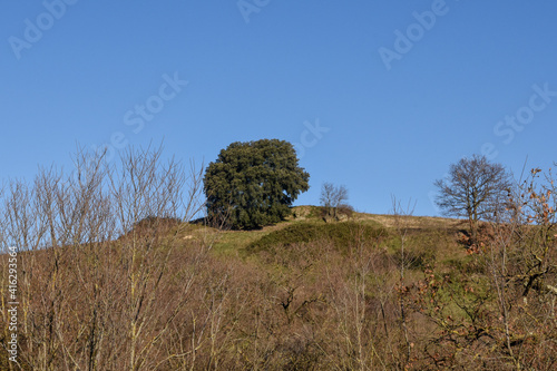 Beautiful countryside landscape near Sacrofano, in the center of Italy near Rome. photo