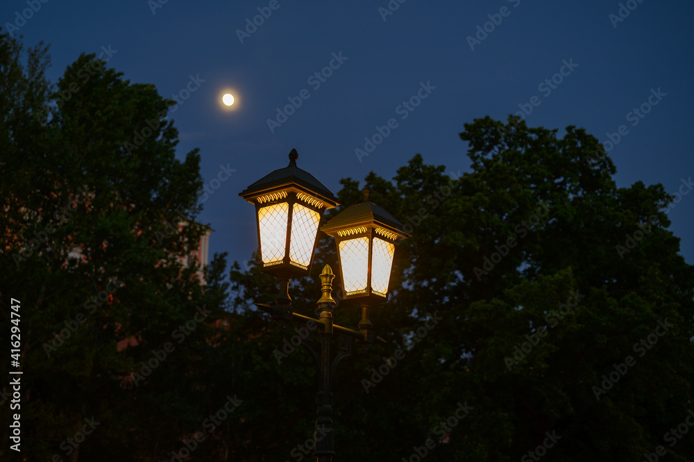 night city landscape night city landscape