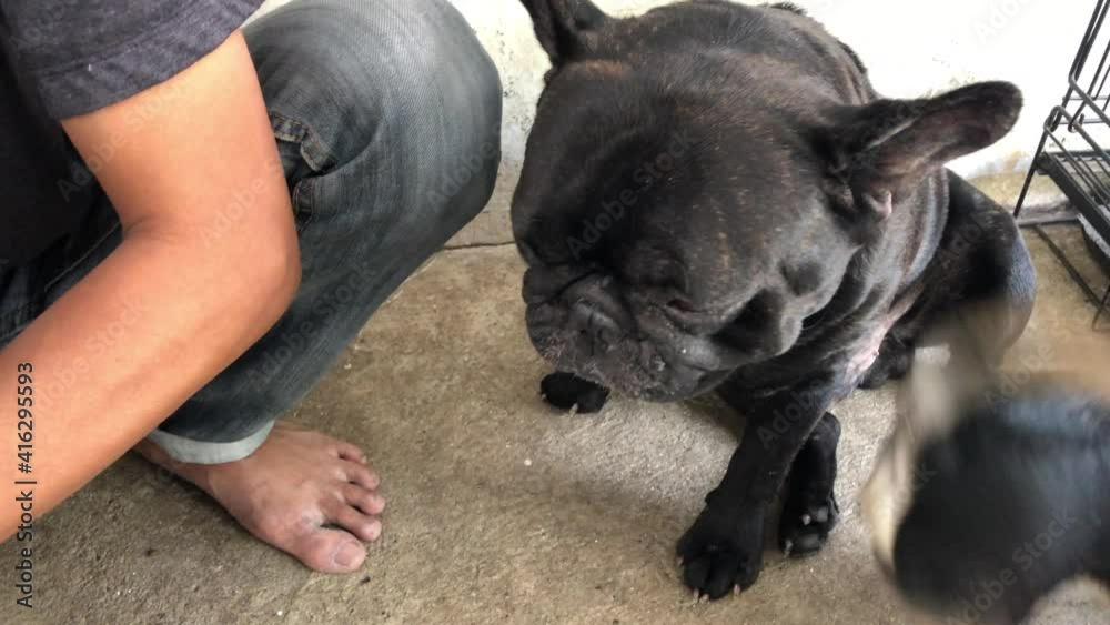 Video Stock Concept of Treatment of early symptoms,eye inflammation in